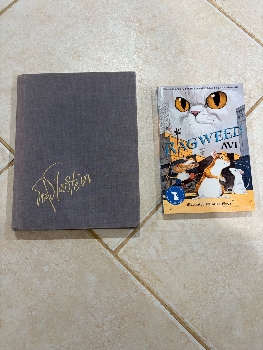 Shel Silverstein and Avi children’s books